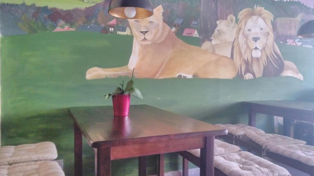 4Lionshostel Königstein an der Elbe Eksteriør billede